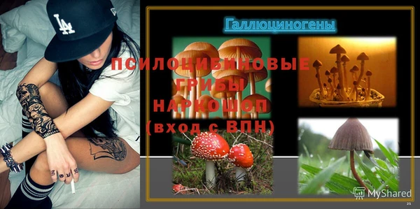 амф Богородск