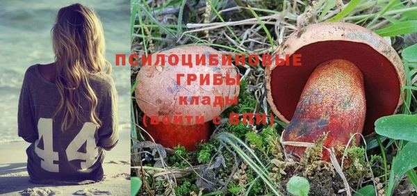 2c-b Билибино